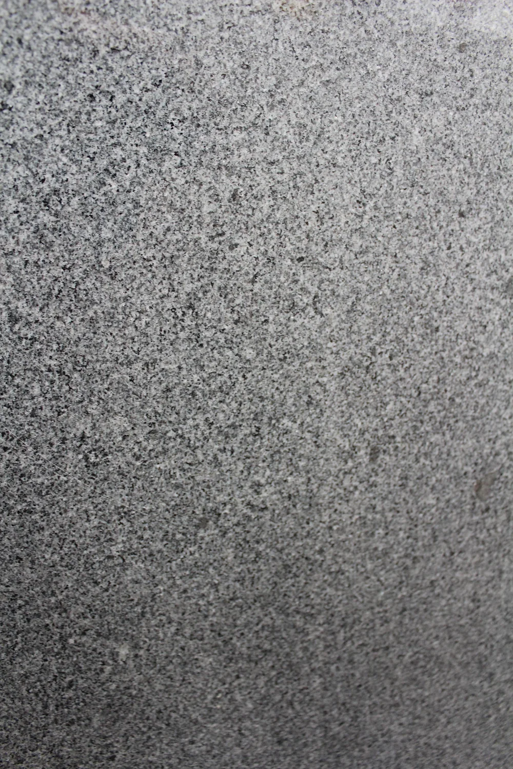 Gris oxford
